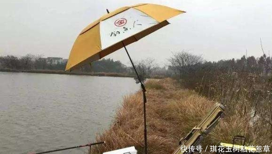 大板|大板鲫不咬钩,只怪天气不好?老钓手换用这套钓法,刚下竿就中鱼