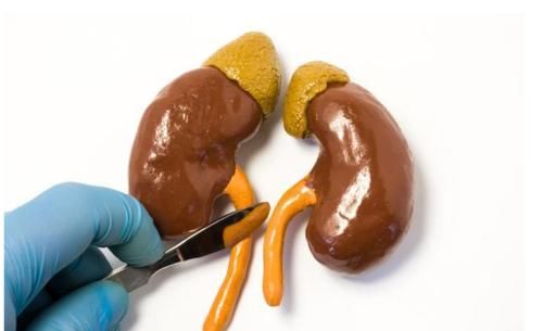 肾脏|男子肾脏状态很好,肌酐稳定多年,这3味中药是关键