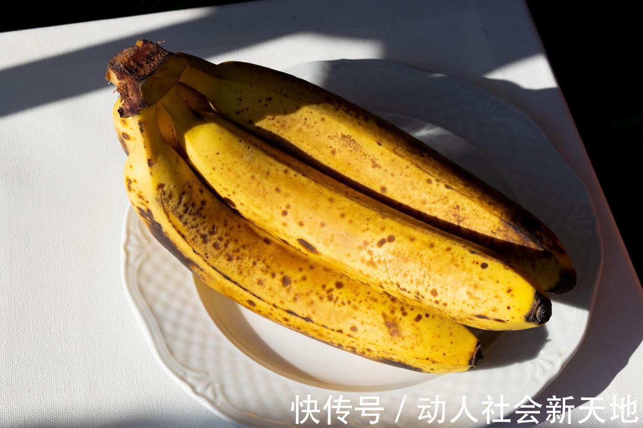 沙丁鱼|排名前10的长寿食物,没一样特别贵的,第2样太过少见,你知道吗