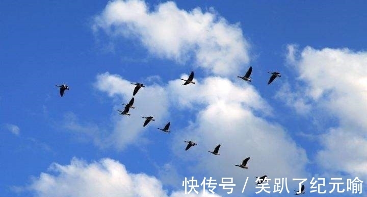 诗意@笛声悠扬,写笛10大名诗排行榜,李白仅第二,因为榜首水平太高了