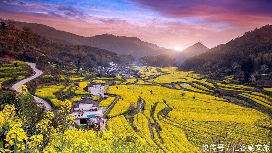 淋一场烟雨，遇一场花事，9个三月花海刷屏的地方