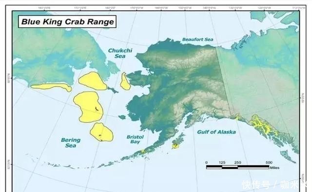 揭秘|揭秘俄罗斯帝王蟹:市场、新格局,鲜美食材背后有看不到的博弈