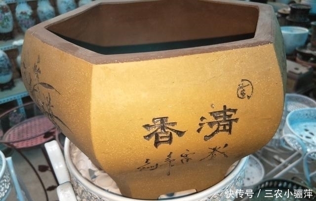 透气性|家中的花盆你选对了吗 每一种花盆都适合养什么, 千万不要乱用