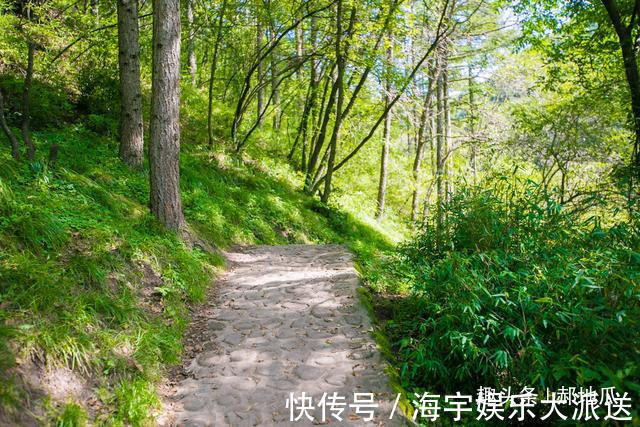 六盘山|我国最年轻的景区之一，来宁夏不来这里游客大呼很遗憾