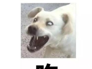 江浙|康熙爱吃东北菜,乾隆爱吃江浙菜,清代御膳房如何管理满足