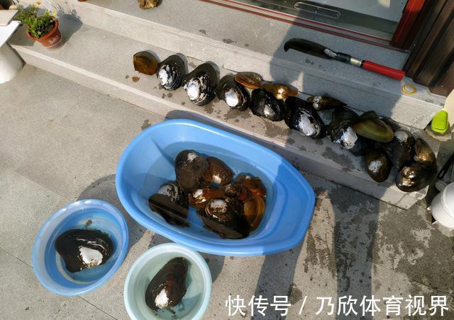 腥味|水库干涸大量“河鲜”搁浅淤泥，钓友捡回来一桶，这能吃？