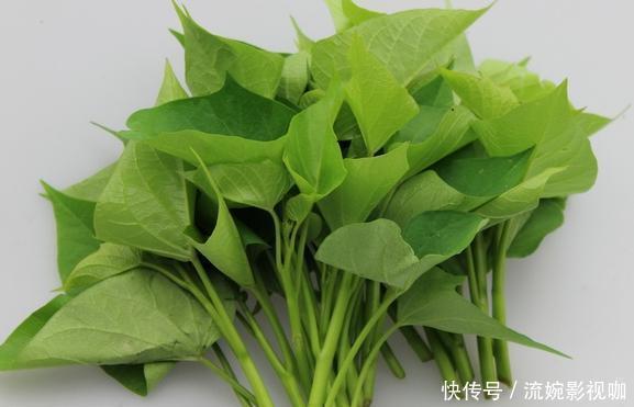 可治|红薯叶的药用价值已经超过人参,可治百病,你们都不知晓吧?