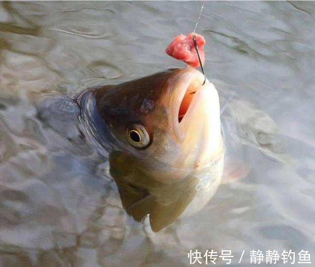 冬钓时,有漂相却老不中鱼?原来是这几步没做好,知道的人不一般