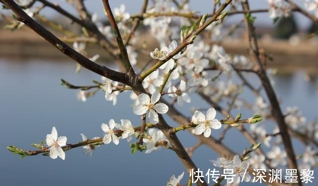 前任|从10月8日开始，天降贵人，遇见前任，心甘情愿，重振旗鼓