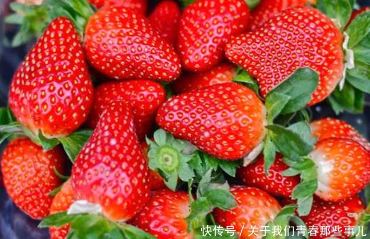 洗草莓,不能只用清水,多加2样,不破皮无污染,洗得又快又干净