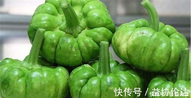 婆婆|婆婆拿回一袋蔬菜,误当成青椒，全家人笑话半天