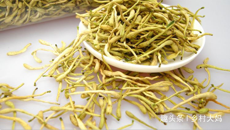 燃脂|金银花和此物泡,早起一杯,燃脂一整天,排出垃圾毒素,皮肤细腻