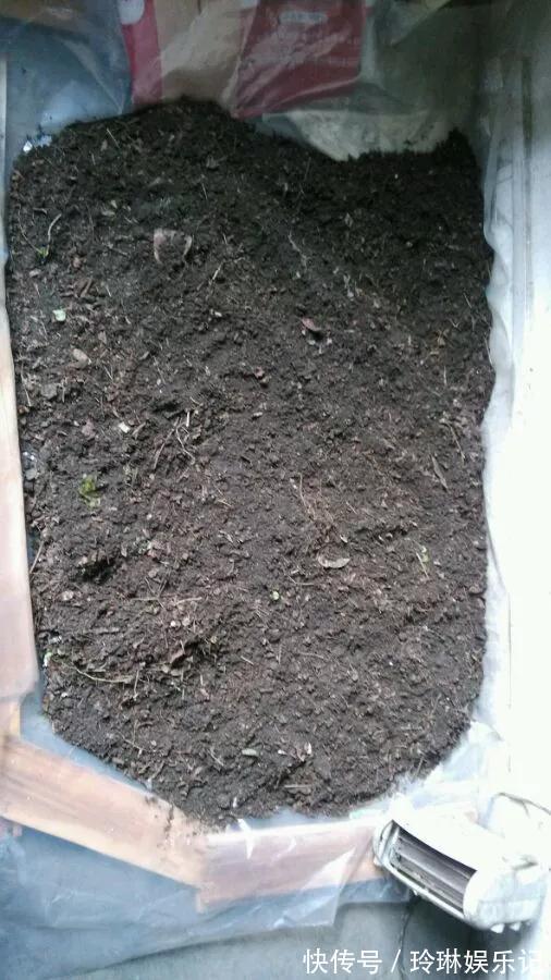 3种“碎渣渣”,是养花的好材料,掺土里花儿蹭蹭长,开爆盆!