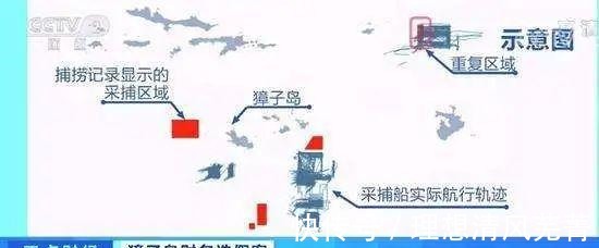 |讲个笑话汤加火山一喷发,獐子岛赢麻了!