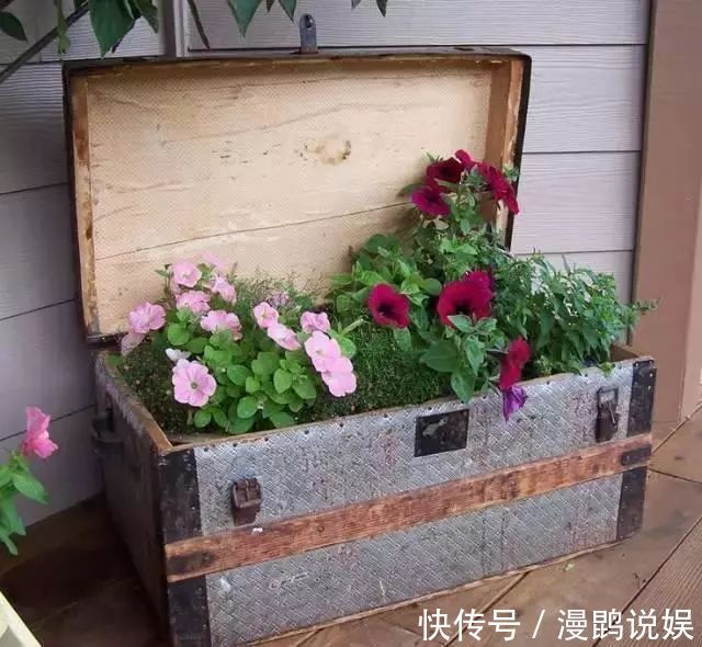 小花|别再花钱买普通花盆了,你意想不到的种花神器!