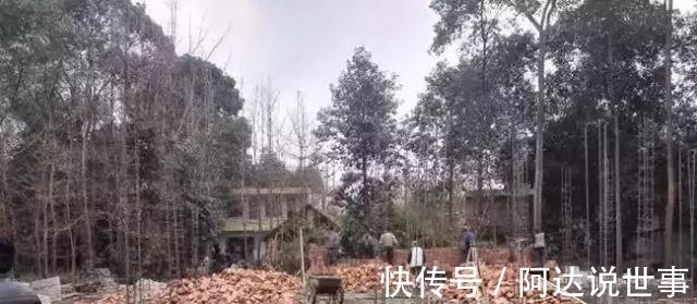 开放式|赚钱了,要回家盖一栋这样的别墅,带开放式车库,让邻里都来羡慕