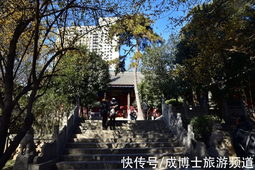 寺院@隋唐皇家寺院，长安三大译经场之一，隐藏在闹市的佛教祖庭