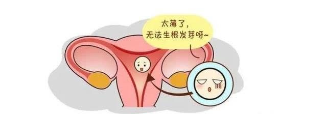 内膜|想怀孕发现子宫内膜薄怎么办?