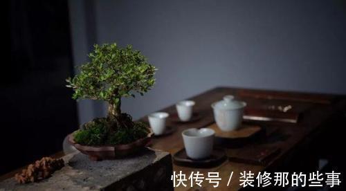 个性|破壶烂瓦做盆，每一个都破出了个性