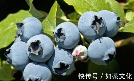 叶黄素|对眼睛最好的4类“食物”,基本家家户户都有,为健康早知早受益