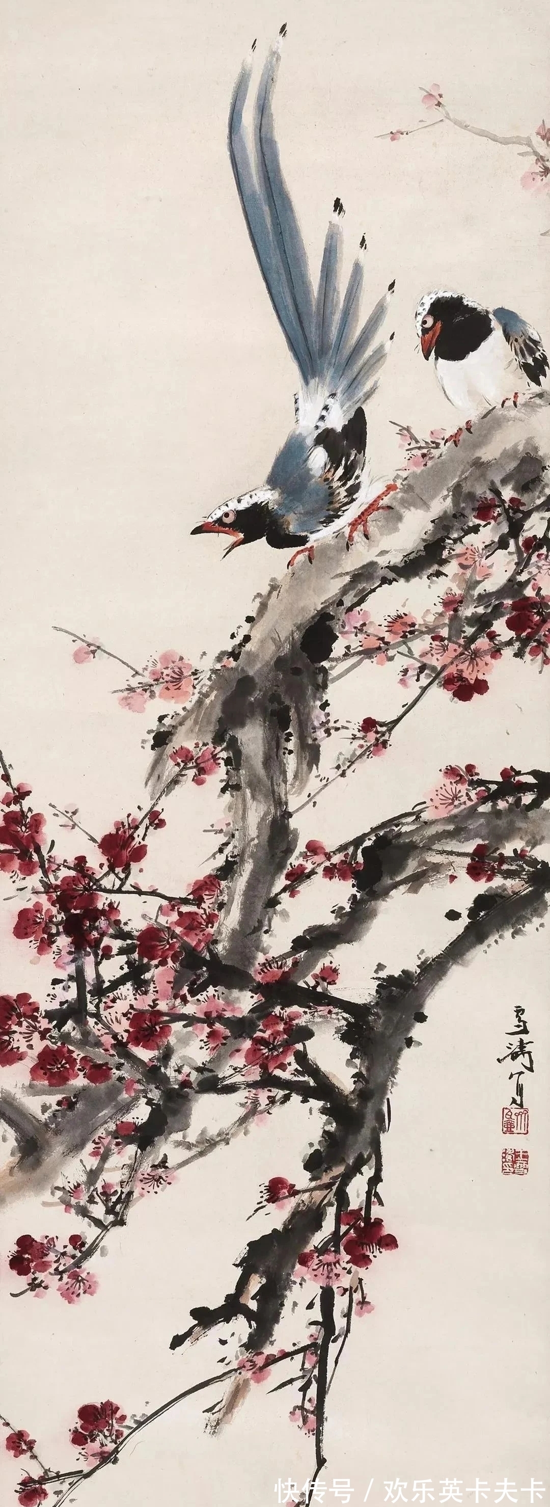 花鸟画!清俊靓丽|最具辨析度的中国画,王雪涛花鸟画