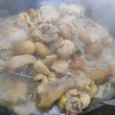 水果|黄皮(水果)炖鸡