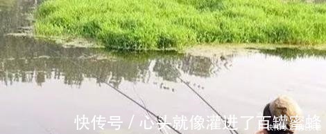 水草处|秋钓草边“三钓”、“三不钓”,用好了总有一次要爆护!
