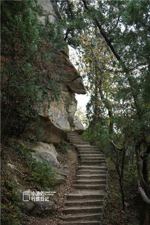 西安秦岭穿越，山顶偶遇“小华山”，简陋小庙修行人用龟壳泡药酒