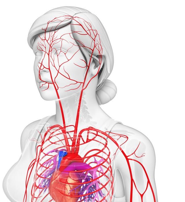 静脉|这“3物”，堪称血管清理工，每天换着吃，血管通畅更健康