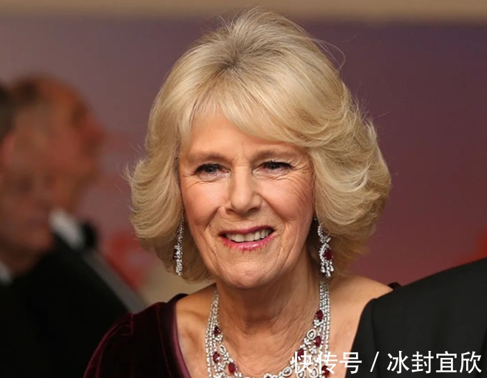 伊丽莎白|卡米拉的蛇形项链20年前做情人时查尔斯送的,蛇蝎气质一目了然