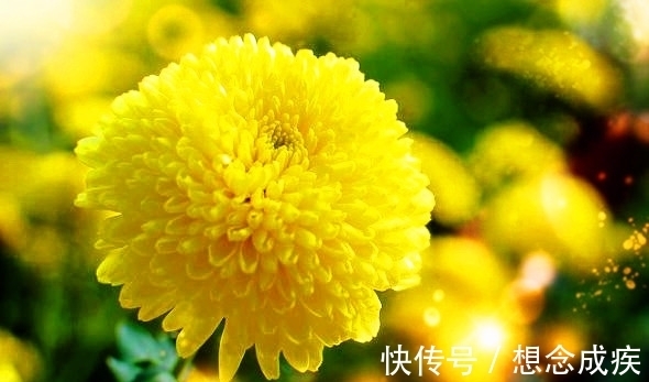 牛皮!古诗词常用典故:肉袒牵羊 吹牛皮