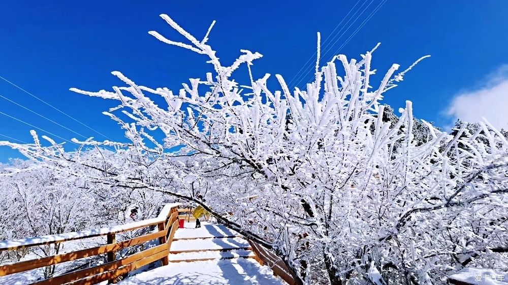 西藏|冬天的雪是上帝写给人间的诗