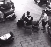 |搞笑GIF:铲屎的赶紧把我放了,否则我拆了你的后备箱