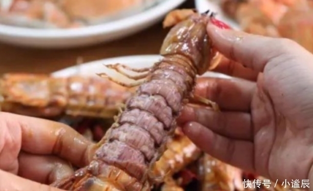 吃了二十年皮皮虾,才知道皮皮虾还自带“拉链”,轻轻一拉就剥开