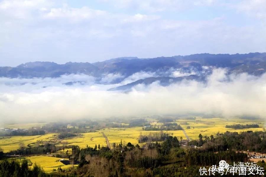 夏凰|《生命的长歌》外一首 夏凰