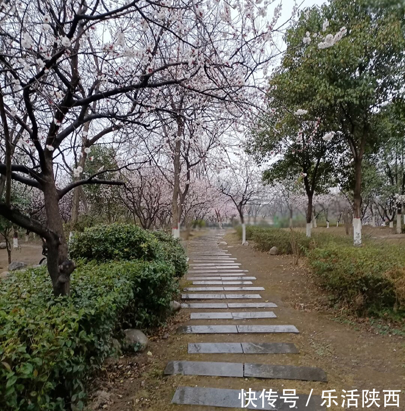 中年|百花争春时节，在西安，这些浪漫的事情一安排 ，想怎么嗨都行