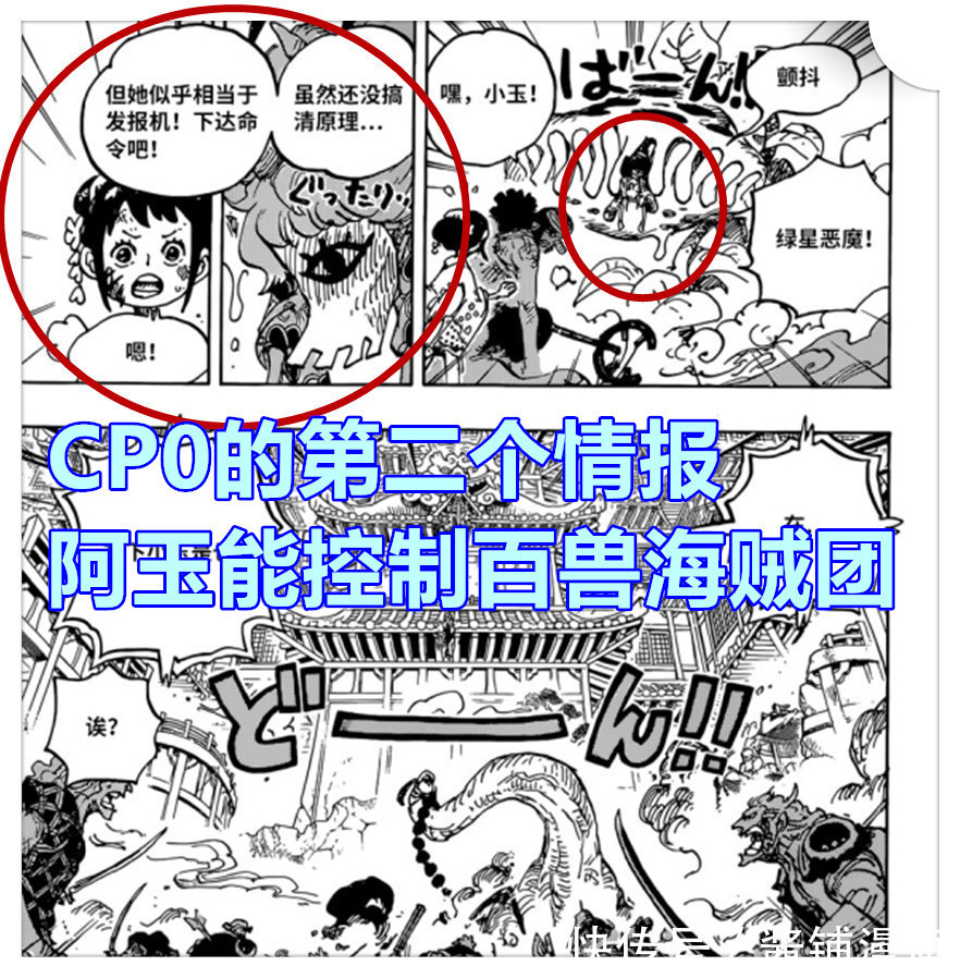 凯多|海贼王,CP0获凯多四大情报并成为最大赢家,黄猿计划第二轮出击