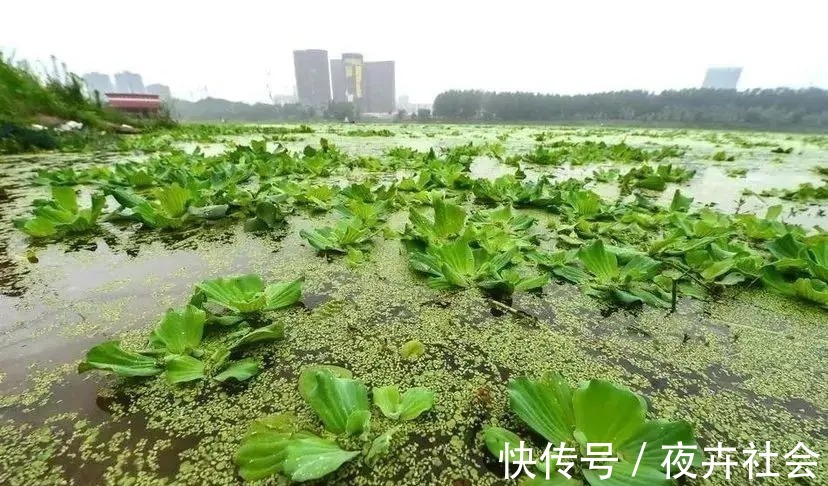 陌生水域找鱼的4个“独门绝技”,让你鱼口不停!钓鱼人一般都不想告诉别人!