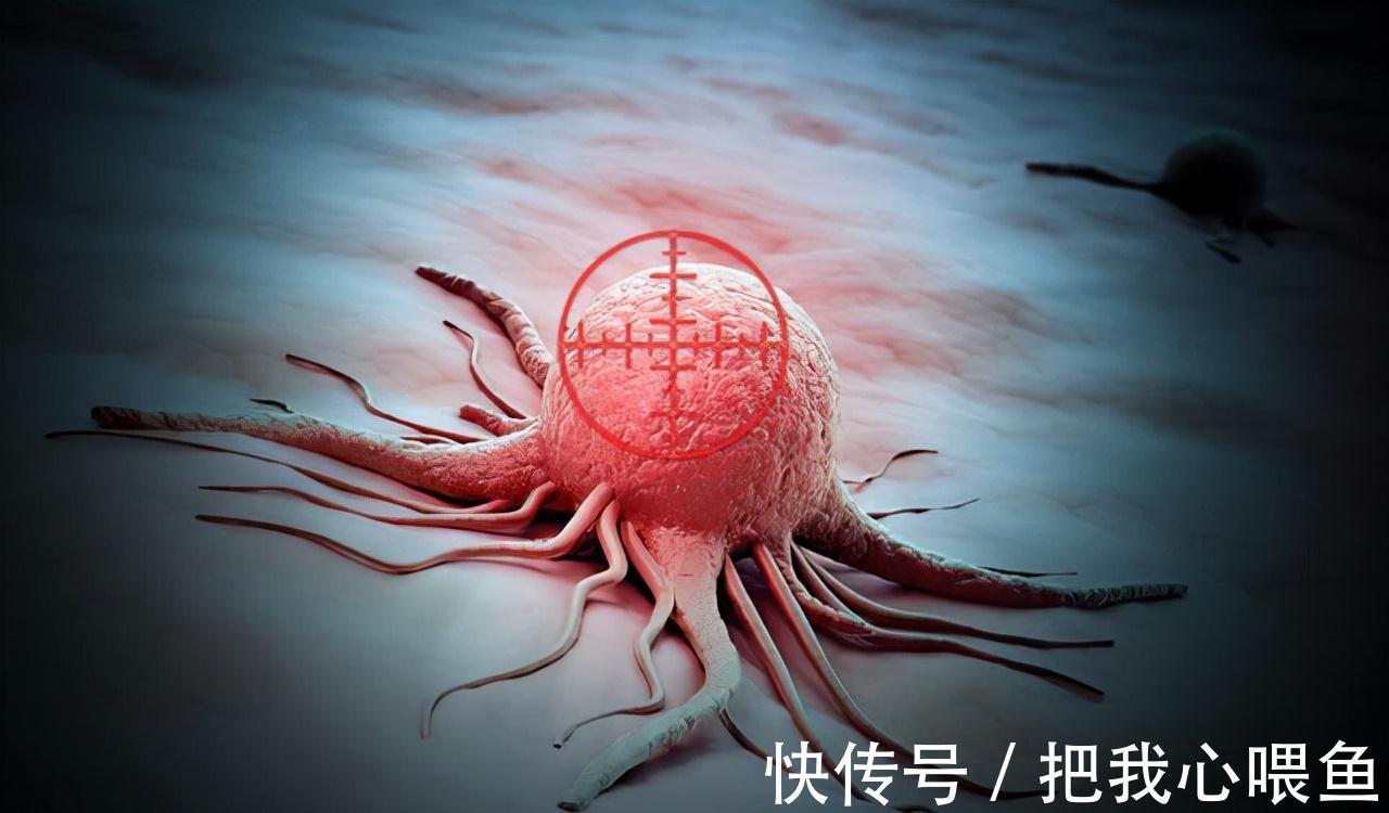 肺癌|新型抗癌药瑞波替尼获突破,或可针对多种癌症,不妨了解