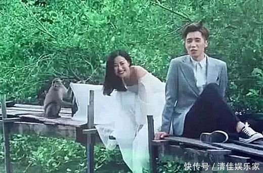 猴子|情侣野外拍婚纱照,遭到一只猴子掀裙底,成片效果却有惊喜