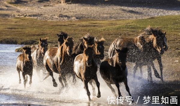 腾飞|7月5-7月14日，“好孕”难挡，3生肖生财有门，事业腾飞