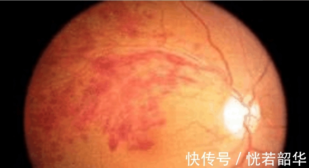 康熙年间|道家开山始祖郭守真墓穴中, 藏有神物定风珠, 盗墓贼却为此丧命