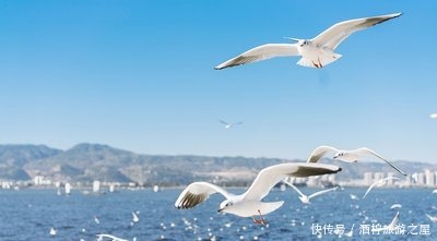 放手|一种束缚,牵着风筝飞,有一种爱叫放手,对孩子你还在放风筝吗