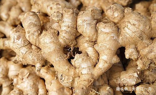 表面|买生姜，并不是越光滑的越好，学会这几点，挑选的生姜新鲜又耐放