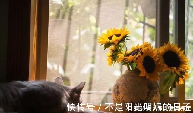 榻榻米|飘窗阳台这样改,多赚5㎡!飘窗阳台这样改,多赚5㎡!