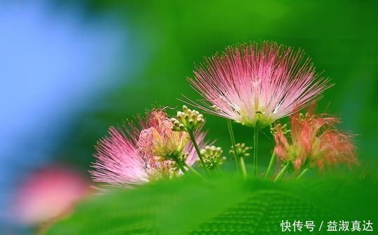 求财|未来两周，4属相运势回温，财运上升，求财顺利，事业步步高升