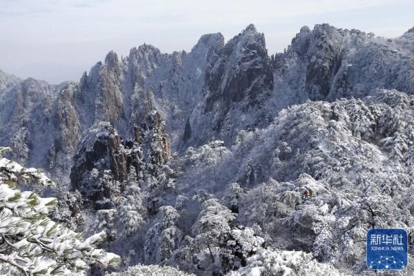 黄山风景区|雪后黄山美图来了！银装素裹，宛如仙境