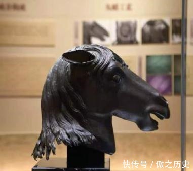 骏马|“骏马归圆”——2020.12.01