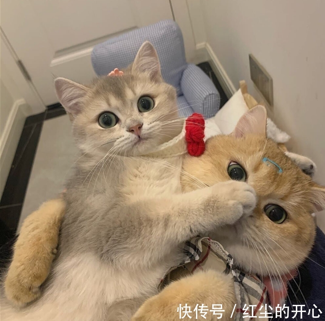 闺蜜|『头像女』我和我的闺蜜,是以年为单位的友谊