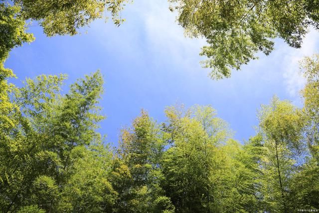  气度|易经智慧，坤卦:以品格立人，以气度处世